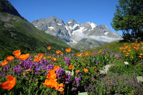 Lautaret Alpine Tuin