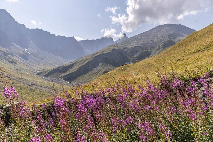 De sommet des Râtissières - Wandelroute