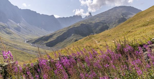 De sommet des Râtissières - Wandelroute