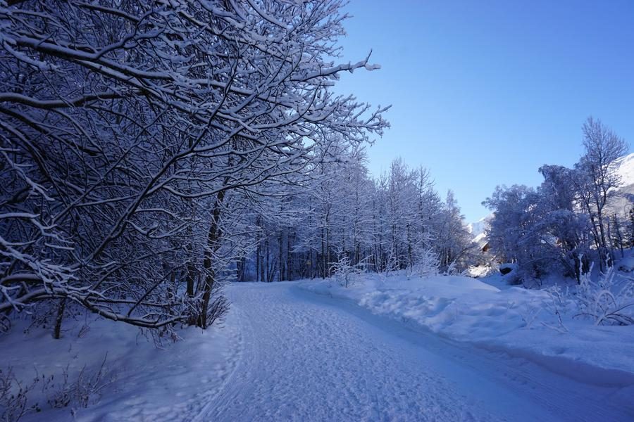 Lus van Valloire naar Les Verneys - Wandelroute_Valloire