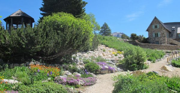 Garten von Lautaret
