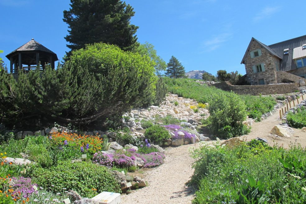 Lautaret Alpine Tuin