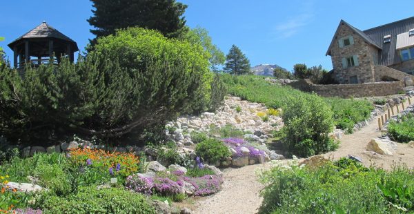 Lautaret Alpine Tuin