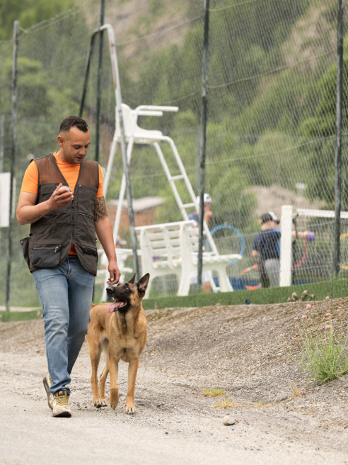 Hondentrainingslessen met Work'n'Dog Adacemy