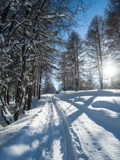 balade-foret-hiver-valloire.jpg