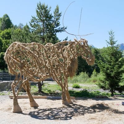 02_J5_MELOCHE_309
